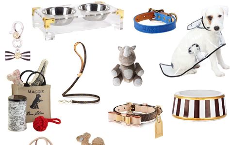 Designer Pet Collection & Accessories 